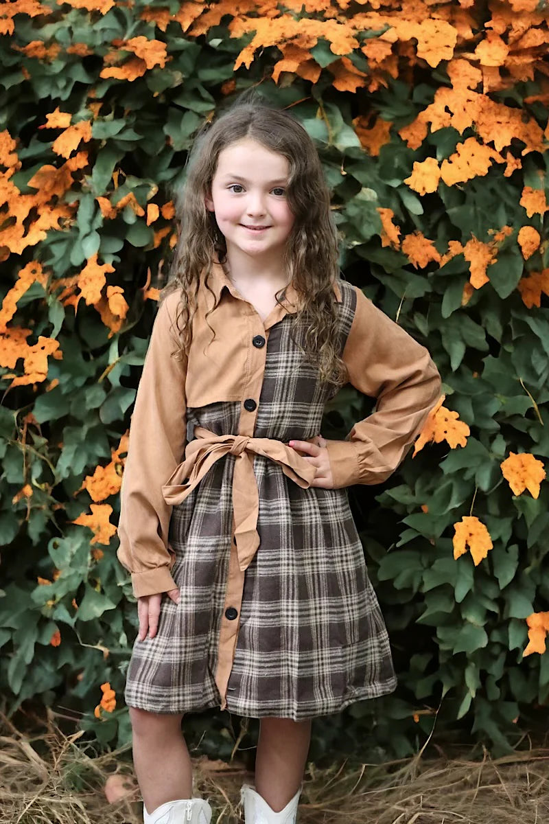 Autumn Stroll Plaid Dress
