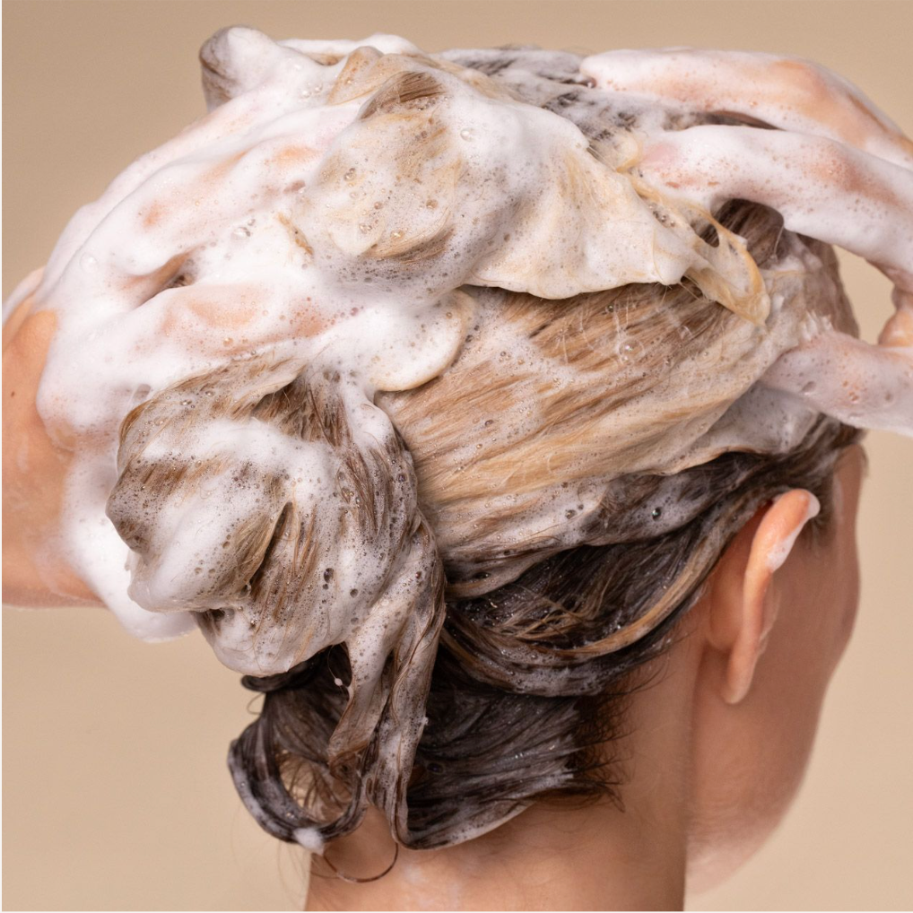 Smooth & Repair Argan Oil Shampoo