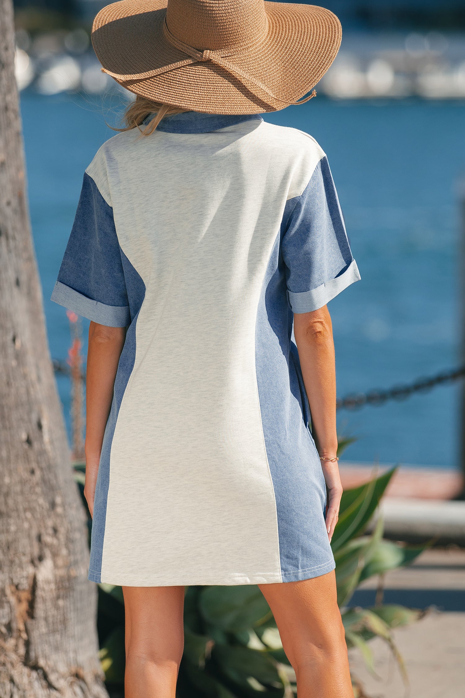 Greyson Colorblock Dress